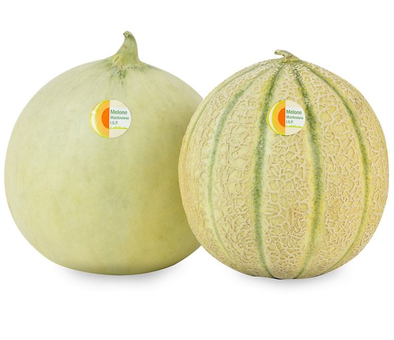 Melone Mantovano