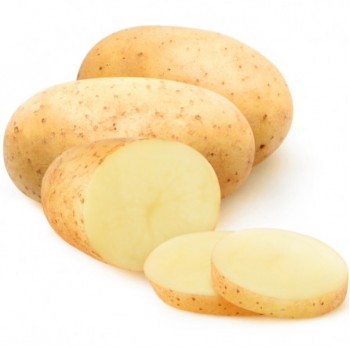 Patata