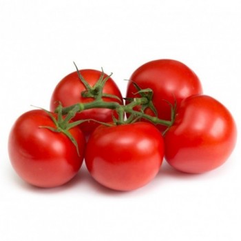pommodori