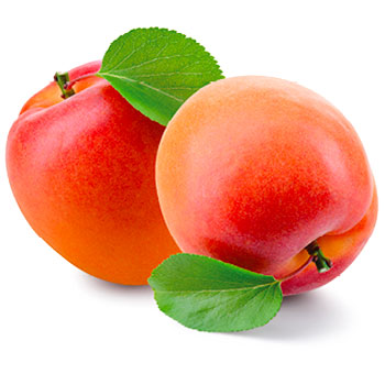 Albicocche
