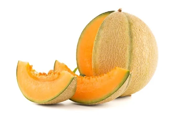 Melone Mantovano