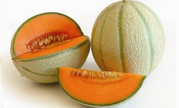 Melone Mantovano