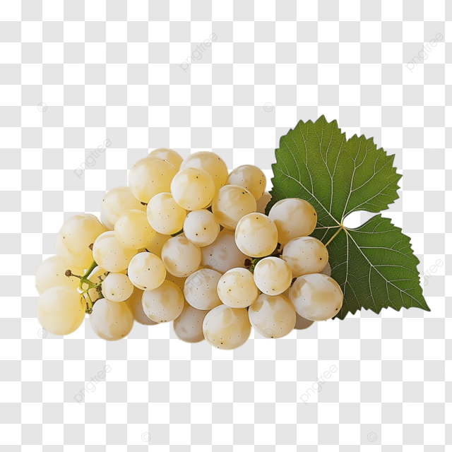 Uva Bianca