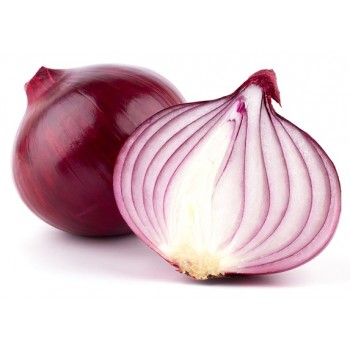 Cipolla