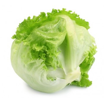 Lattouga