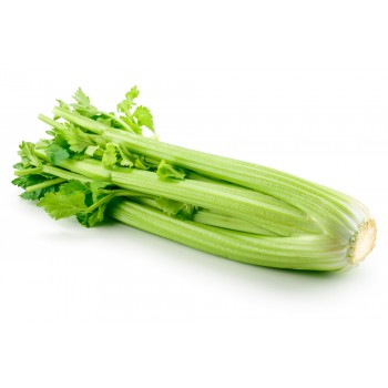 Sedano